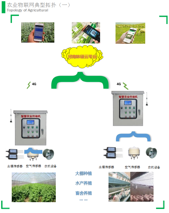 农业物联网典型拓扑（一）1.jpg